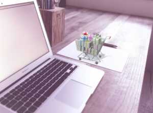 What Influences Digital Shopping Choices?