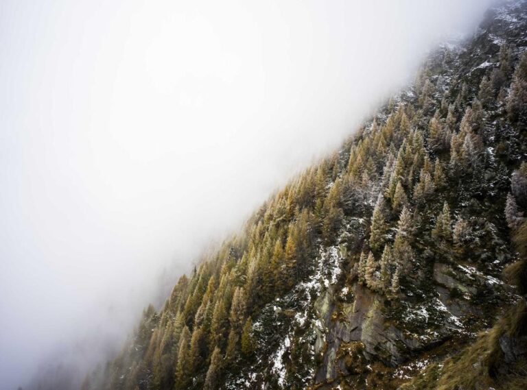 stitch:ac0wiwzuore= kleurplaat