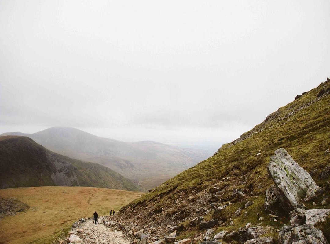 Important Considerations: Safety, Legality, and Risks