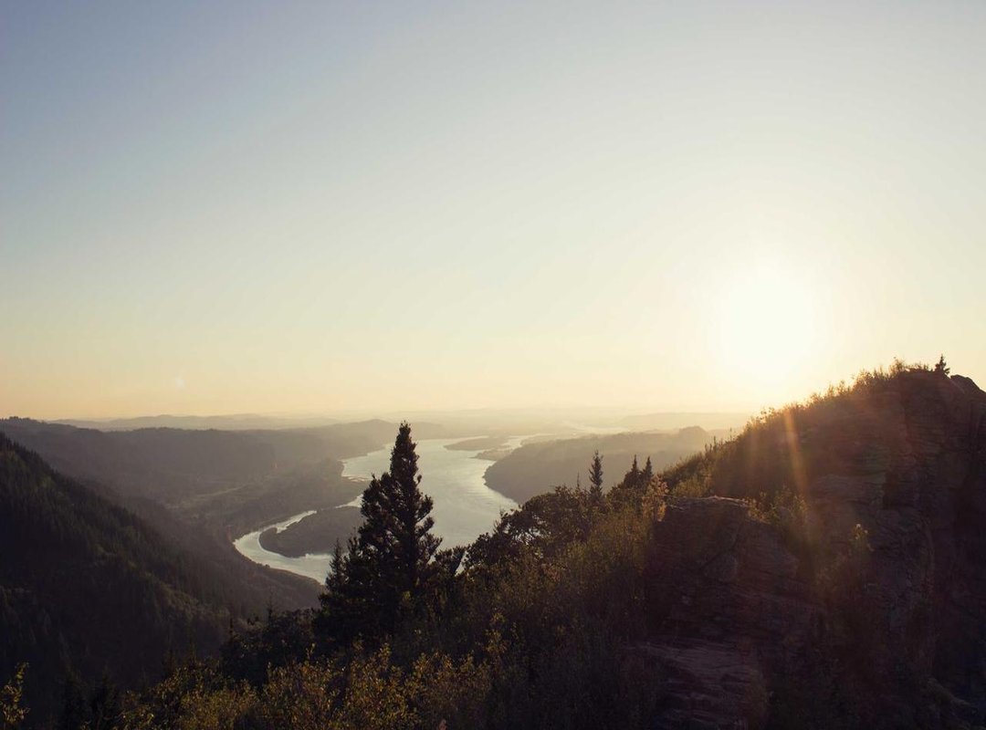 Placement and Pain: What to Expect for Your Ear Tattoo