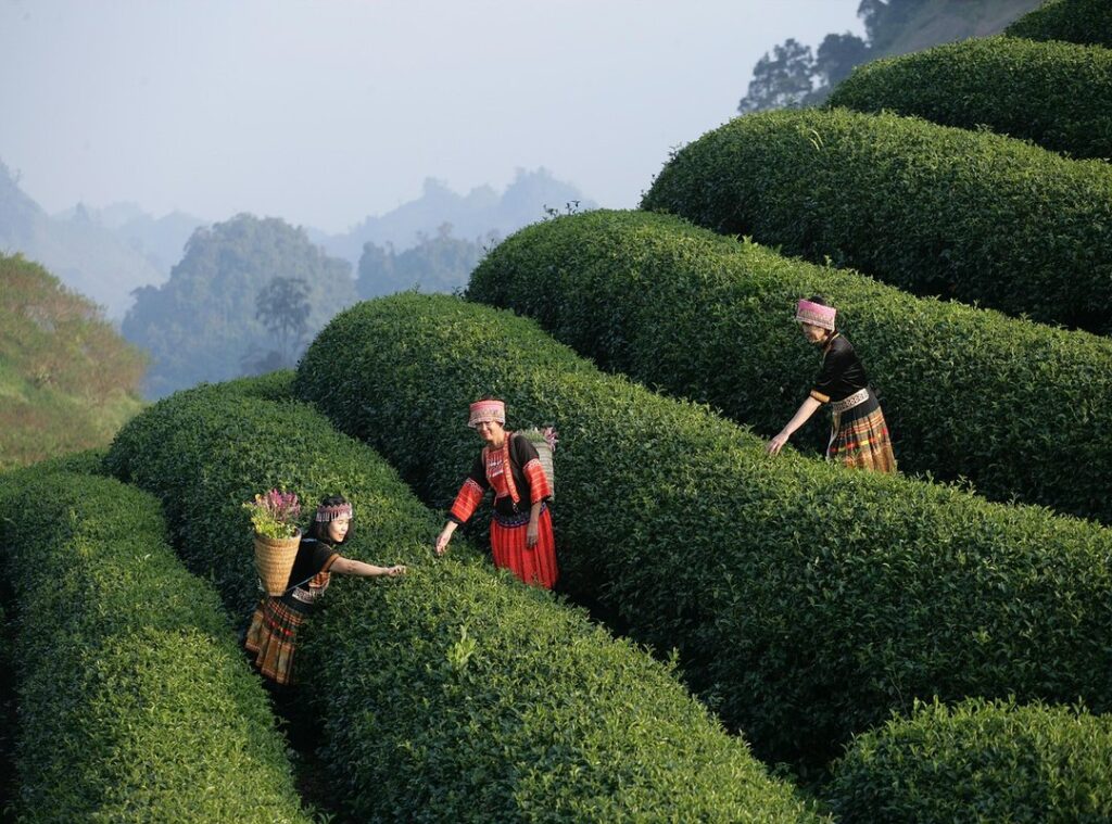 user experience sales